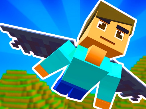 Elytra Flight
